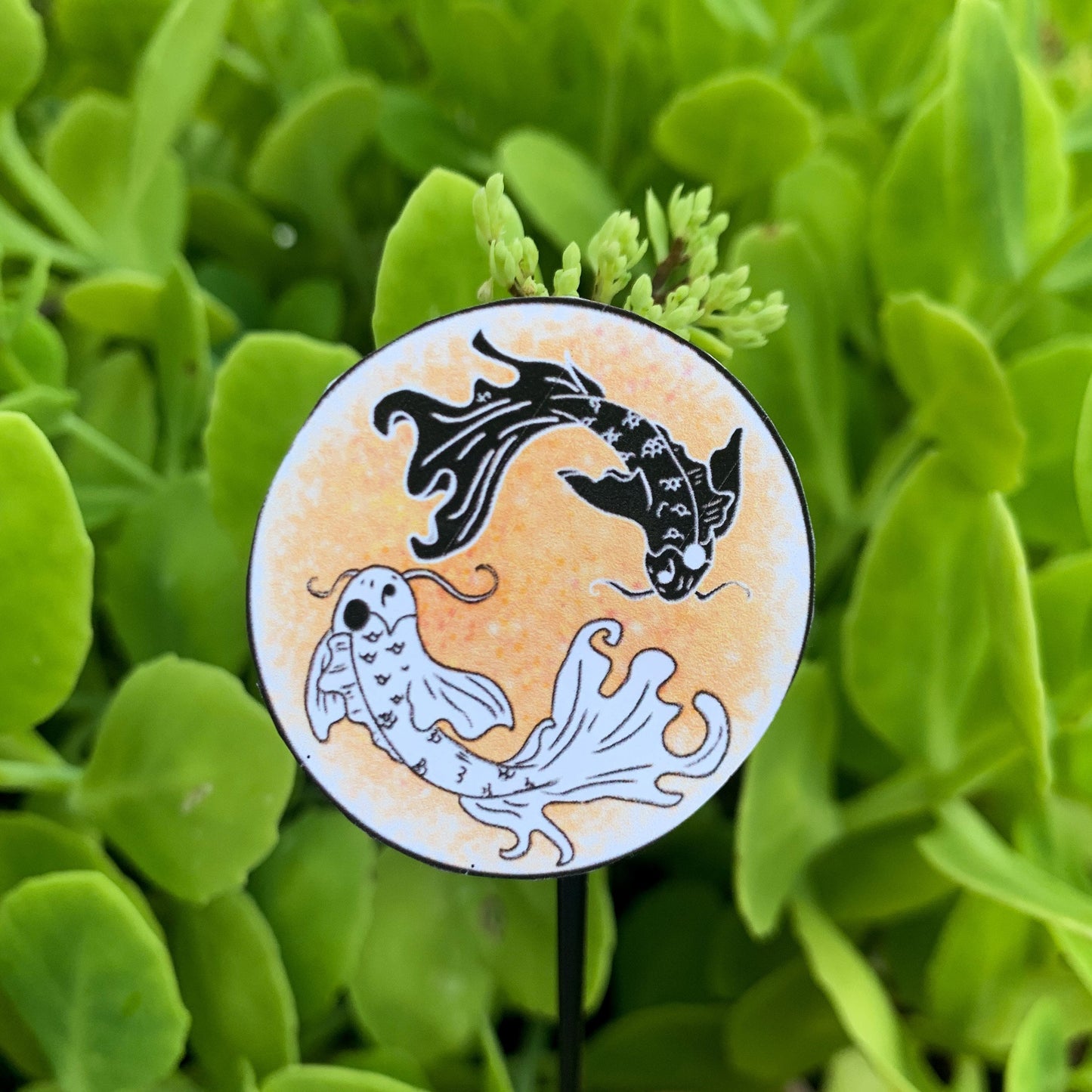 Ying Yang Koi Fish, Weatherproof Sticker