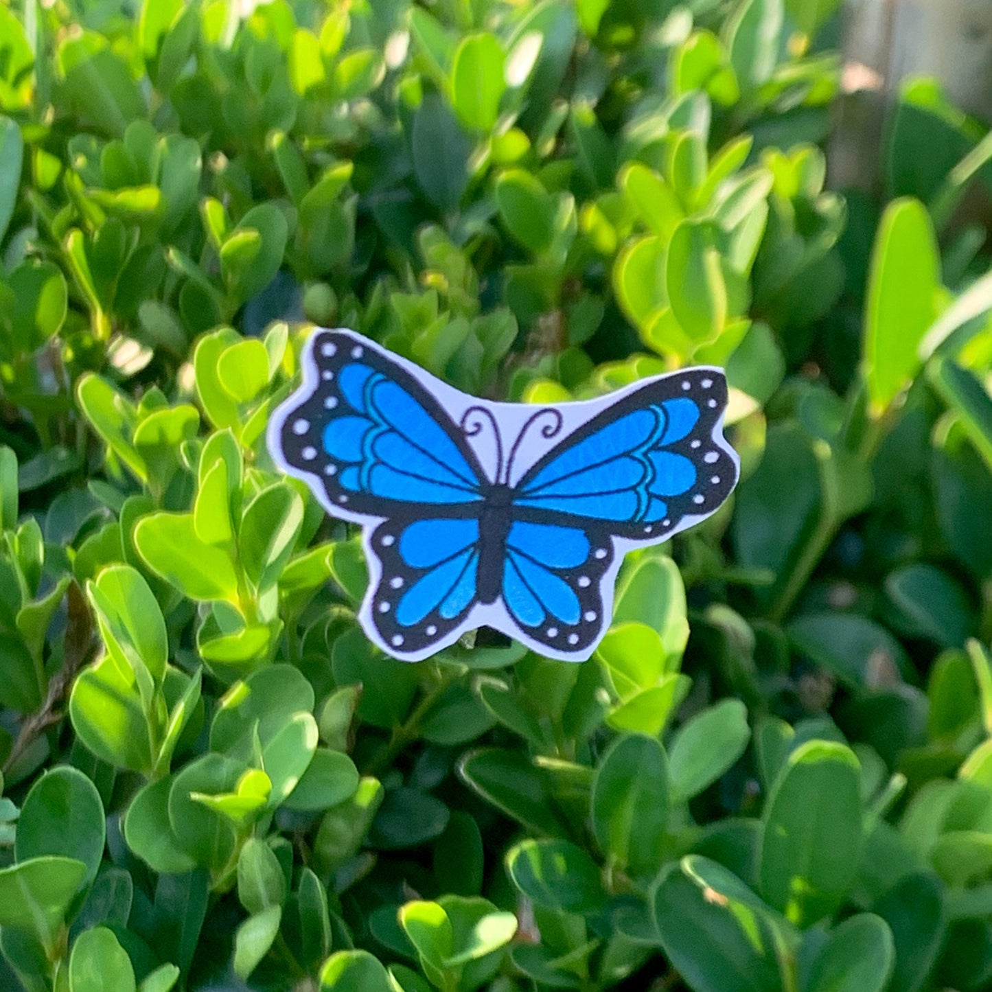 Mini Blue Morpho Butterfly Stickers